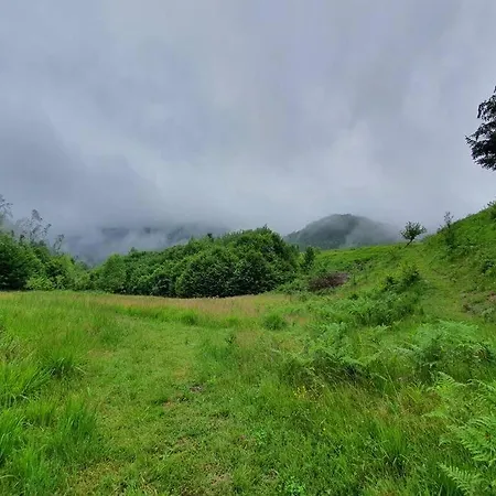 The Green House - Apuseni Mountains *