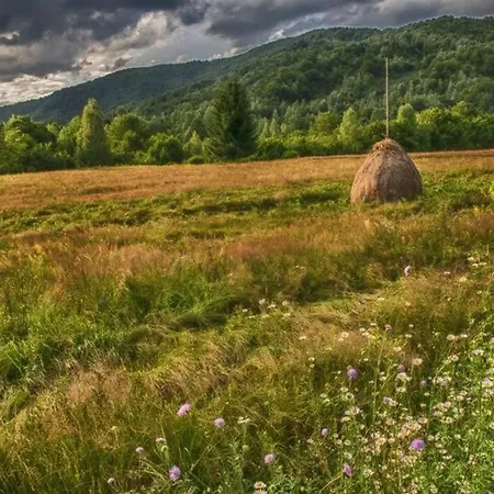 The Green House - Apuseni Mountains Holiday home
