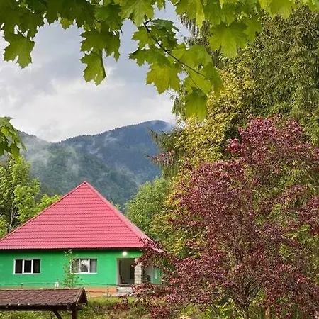 The Green House - Apuseni Mountains Holiday home Pietroasa (Bihor)